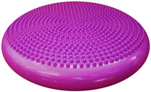 Therapist’s Choice Inflated Air-Filled Stability Balance Disc-Purple