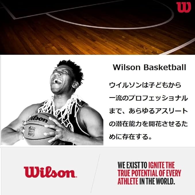 WILSON NBA Forge Series Indoor/Outdoor Basketballs