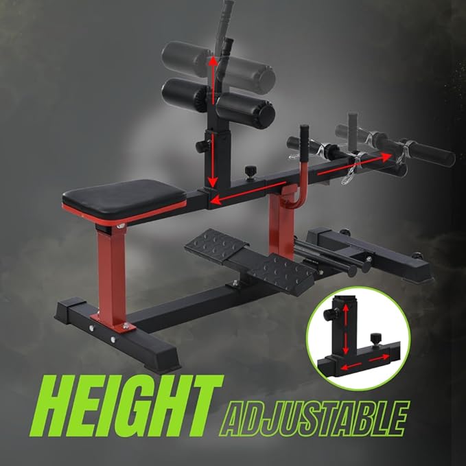 Leg Raise Machine