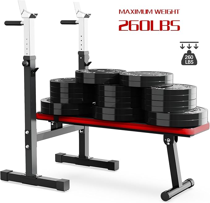 Adjustable Weight Bench Press with Squat Rack Folding Multi-Function Dip Station for Full Body Workout Home Gym Strength