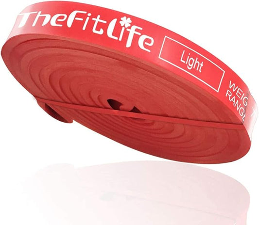 TheFitLife Resistance Pull Up Bands - Pull-Up Assist Exercise Bands, Long Workout Loop Bands for Body Stretching, Powerlifting, Fitness Training, with Carrying Bag and Workout Guide