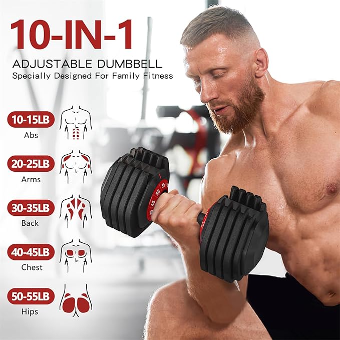 PIRIER Adjustable Dumbbell 55LB Single Dumbbell Weight, 10-in-1 Weight Dumbbell with Anti-Slip Metal Handle for Full Body Workout Fitness