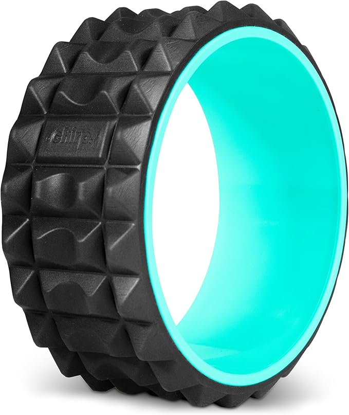 Chirp Wheel XR Acupressure - Back Relief and Muscle Relaxation, Stress Melting and Spine Comfort, Targeted Trigger Point Release, Comfort Cushioning, Firm Foam Roller for Physical Therapy - Mint, 10"