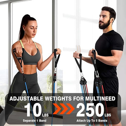 LALAHIGH Portable Home Gym System for Men and Women:Push Up Board, Pilates Bar & 20 Fitness Accessories with Resistance Bands and Ab Roller Wheel-Professional Strength Training Exercise