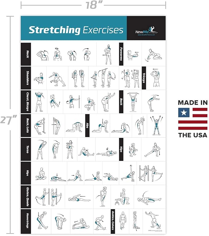 NewMe Fitness Workout Posters for Home Gym - Exercise Posters for Full Body Workout - Core, Abs, Legs, Glutes & Upper Body Training Program