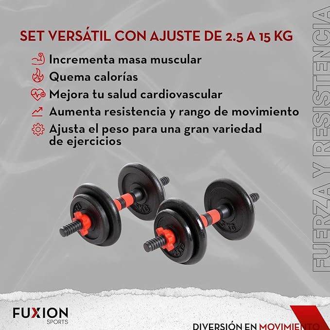 Fuxion Set of 2 Adjustable Dumbbells 33 lb Weight Lifting Metal Spinlock Collars protable 15 kg Strength Training Portable Case with Multiple Plates, Gray