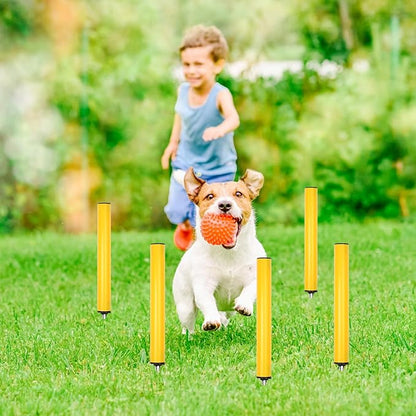 Soccer Agility Poles