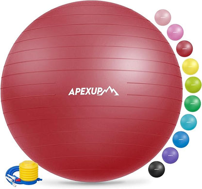 APEXUP Yoga Ball Exercise Ball, Pilates Ball, Anti Slip Stability Ball, Heavy Duty Gym Ball for Fitness, Balance, Core Workout, Physical Therapy