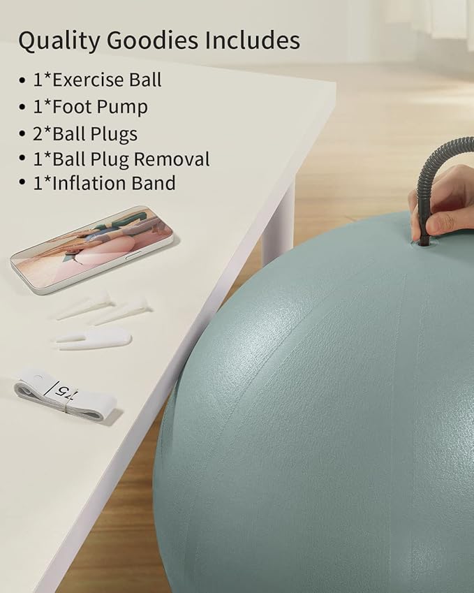 Anti-Burst Exercise Ball for Working Out, Yoga Ball for Pregnancy,Extra Thick Workout Ball for Physical Therapy,Stability Ball for Ball Chair Fitness with Pump