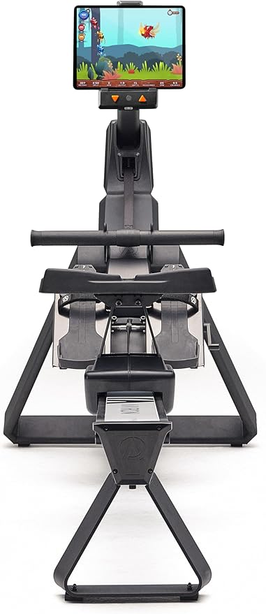 Aviron StrongGo Rowing Machine -Compatible with iPad—Dual Air 100 lbs