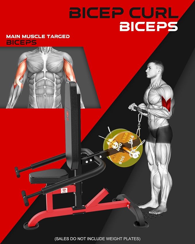 HVO Seated Dip Machine Tricep: Dip Machine Exercise