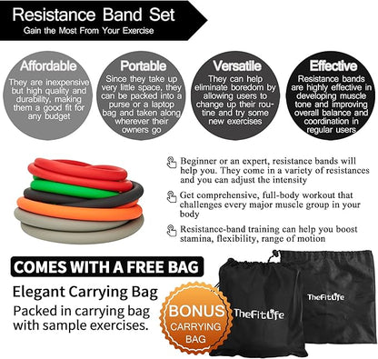 TheFitLife Exercise Resistance Bands with Handles - 5 Fitness Workout Bands Stackable up to 110/150/200/250/300 lbs, Training Tubes with Large Handles, Ankle Straps, Door Anchor, Carry Bag