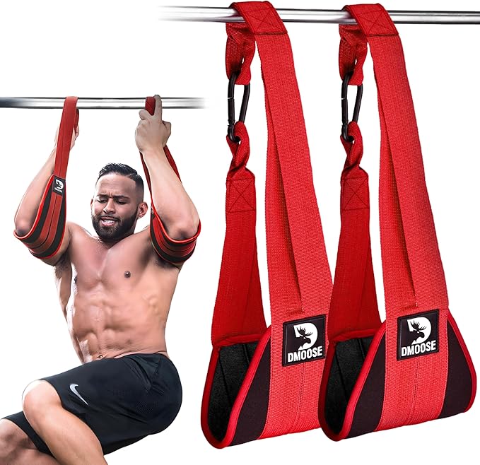 DMoose Fitness Hanging Ab Straps for Pull Up Bar & Core Strength Training - Thick Padded Arm Strap for Ab Swing with 2 Rust-Resistant Carabiners - Pull Up Straps for Ab Workouts at Home and Gym (Pair)