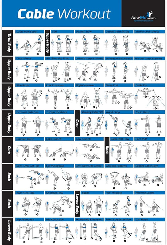 NewMe Fitness Workout Posters for Home Gym - Exercise Posters for Full Body Workout - Core, Abs, Legs, Glutes & Upper Body Training Program