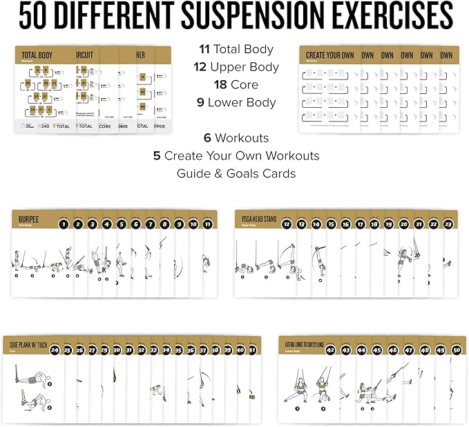 NewMe Fitness Suspension Workout Cards, Instructional Fitness Deck for Women & Men, Beginner Fitness Guide to Training Exercises at Home or Gym (Suspension, Vol 2)