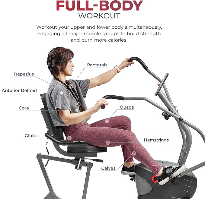 Sunny Health & Fitness Compact Performance Recumbent Bike with Dual Motion Arm Exercisers, Quick Adjust Seat & Optional Exclusive SunnyFit App Enhanced Bluetooth Connectivity