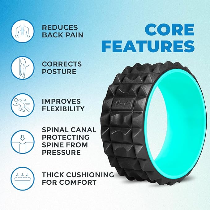 Chirp Wheel XR Acupressure - Back Relief and Muscle Relaxation, Stress Melting and Spine Comfort, Targeted Trigger Point Release, Comfort Cushioning, Firm Foam Roller for Physical Therapy - Mint, 10"